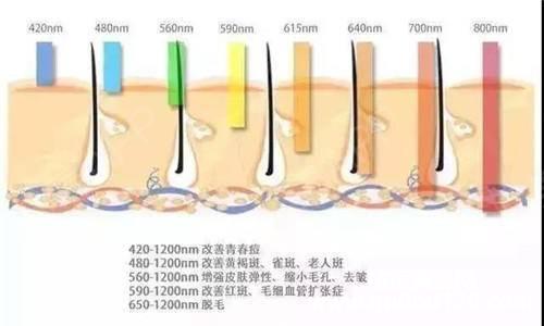 红蓝光祛痘到底有没有效果（红蓝光做几次才有效果）