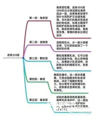 皮肤的修复周期是多久（皮肤几天一个修复周期）